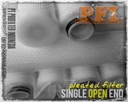 222 Flat SOE Pleated Filter Cartridge Indonesia  large