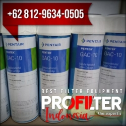 pentek gac carbon filter cartridge indonesia  large